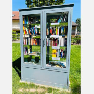 Breiter öffentlicher Bücherschrank in RAL-Farbe